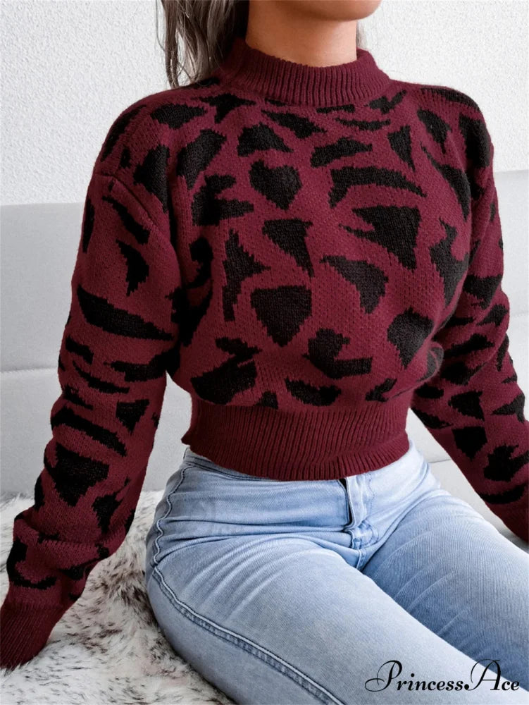 Spotted Design Waist Collection Circular Neck Sweater swraters-241228