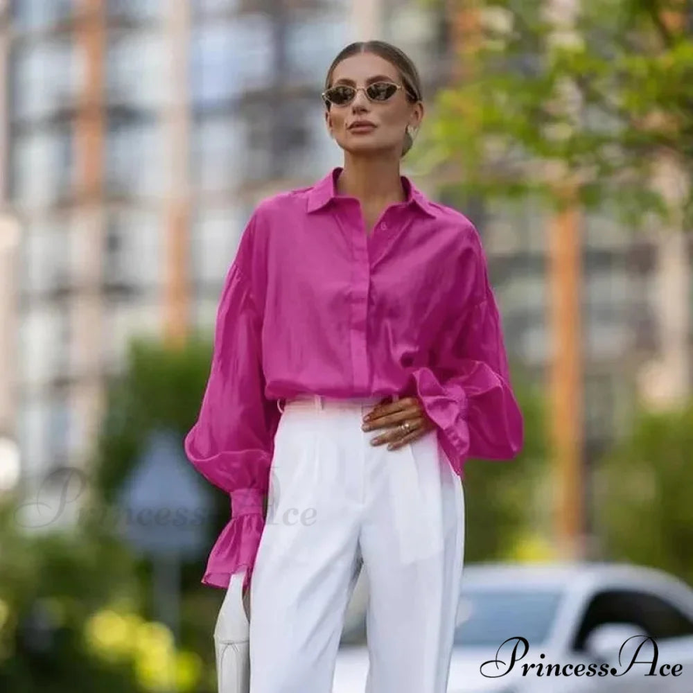 Spring Workplace Informal Blouse blouse-250223