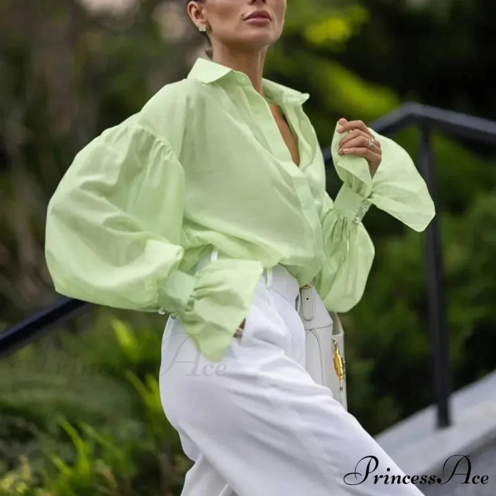 Spring Workplace Informal Blouse blouse-250223