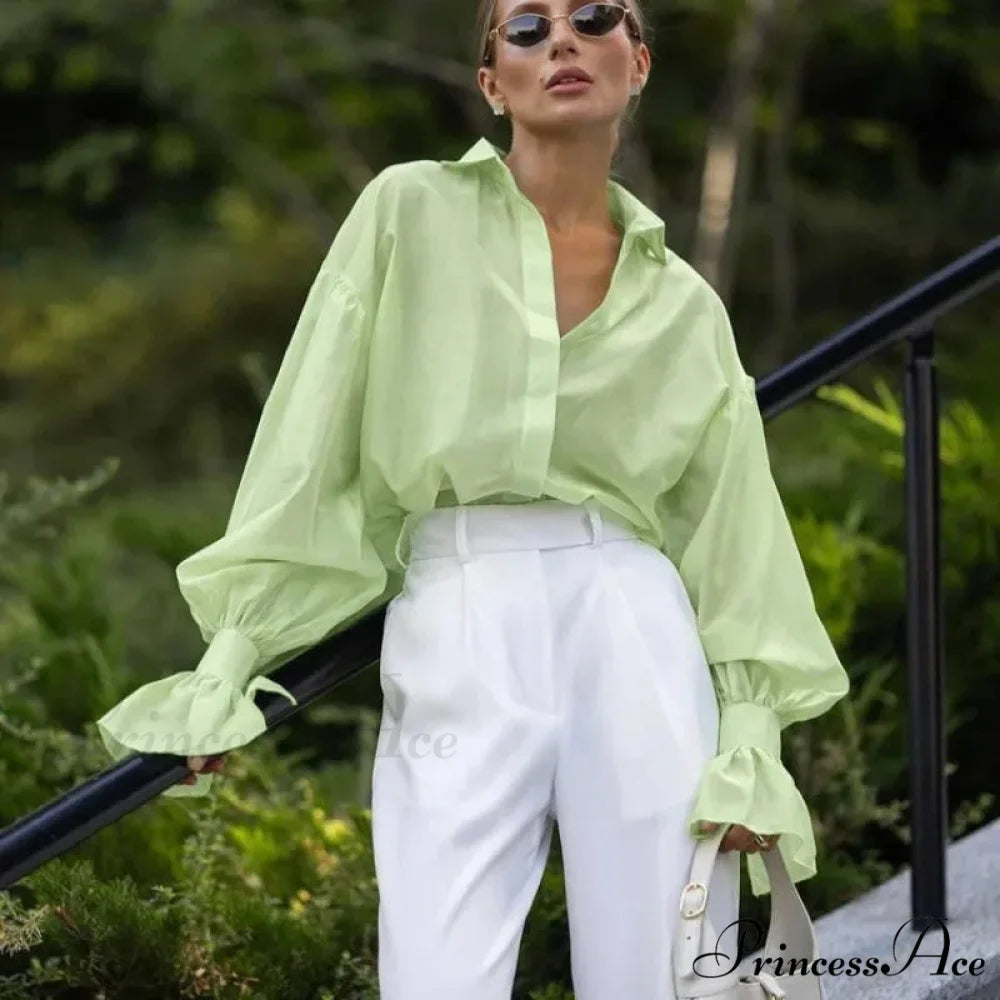 Spring Workplace Informal Blouse blouse-250223