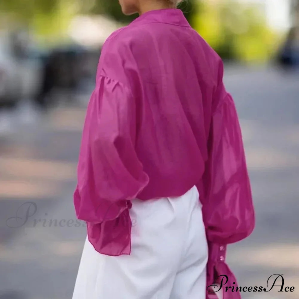 Spring Workplace Informal Blouse blouse-250223