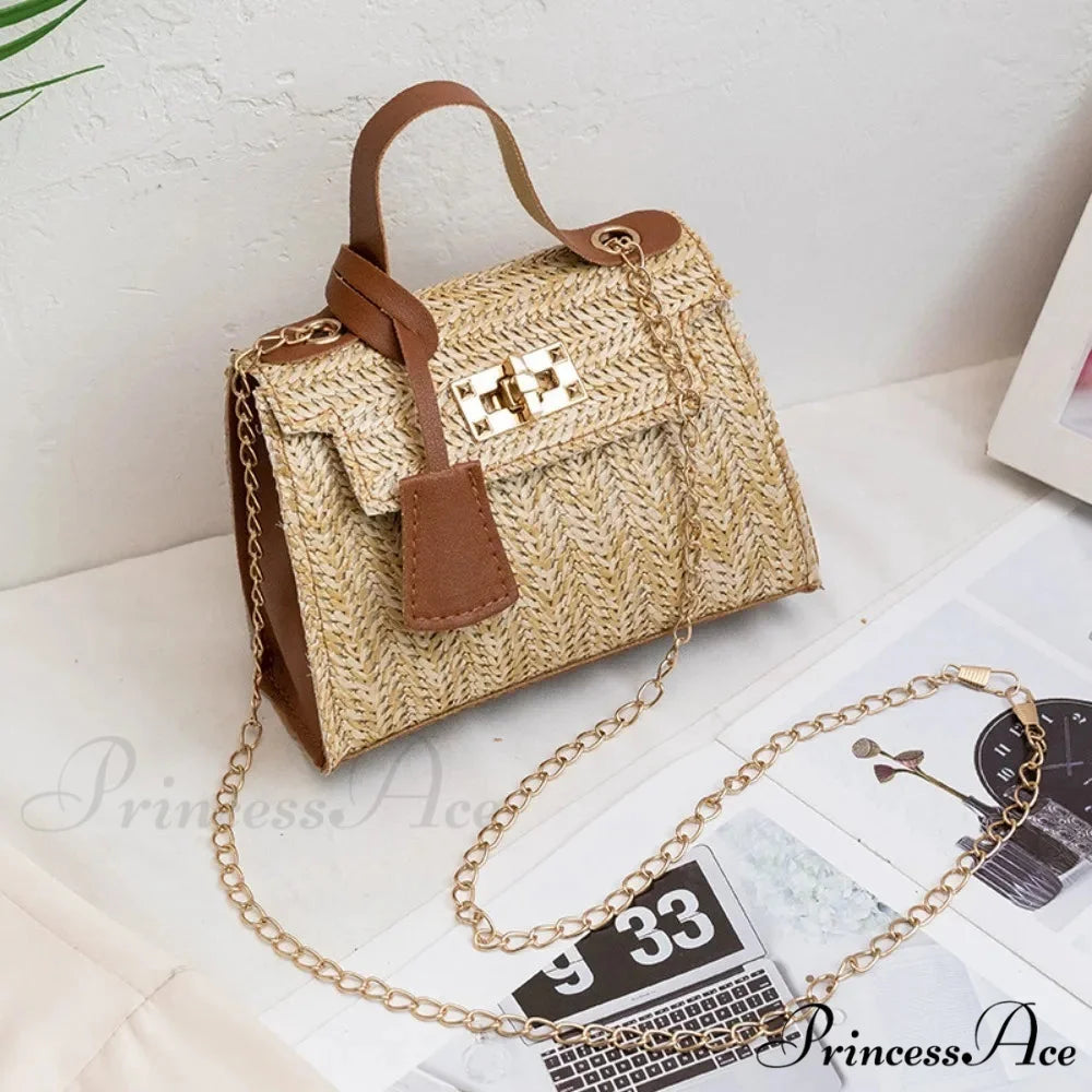 Stylish Woven Individuality Straw Purse Brown handbag-250126