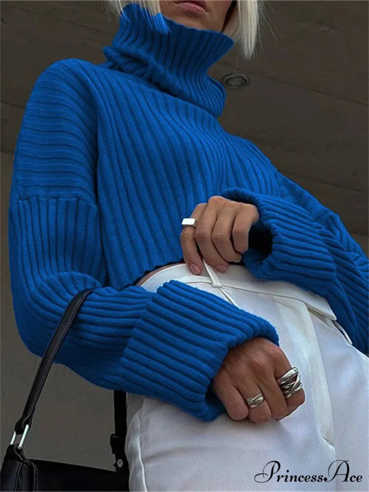 Tall Collar Ribbed Shortened Sweater swraters-241228