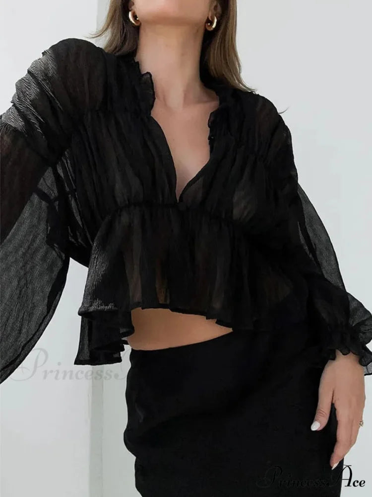 Vintage Transparent Mesh Lantern Sleeve Top Black / S blouse-250223
