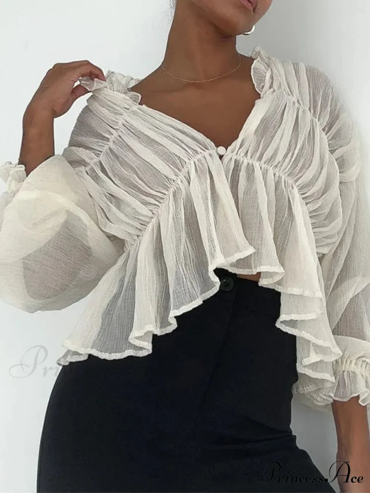 Vintage Transparent Mesh Lantern Sleeve Top blouse-250223
