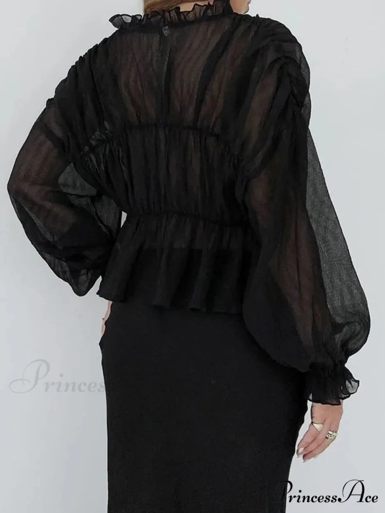 Vintage Transparent Mesh Lantern Sleeve Top blouse-250223
