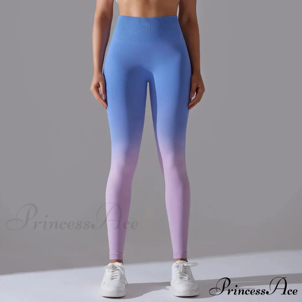 Waist Gradient Seamless Knitting Fitness Cycling Legging Purple / S