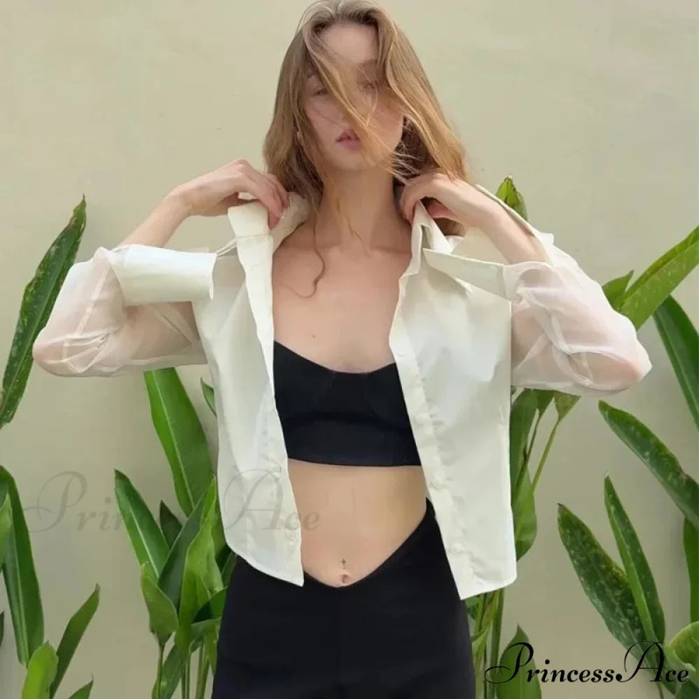 Warm Weather Transparent Slim Blouse blouse-250223