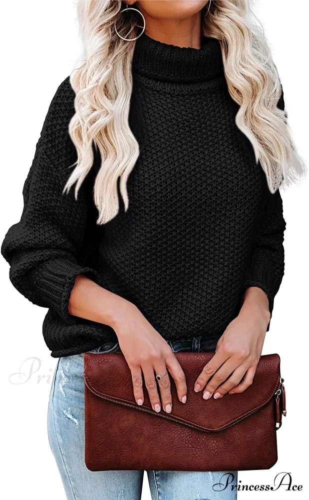 Women Turtleneck Batwing Sleeve Casual Oversized Sweater Black / X-Large
