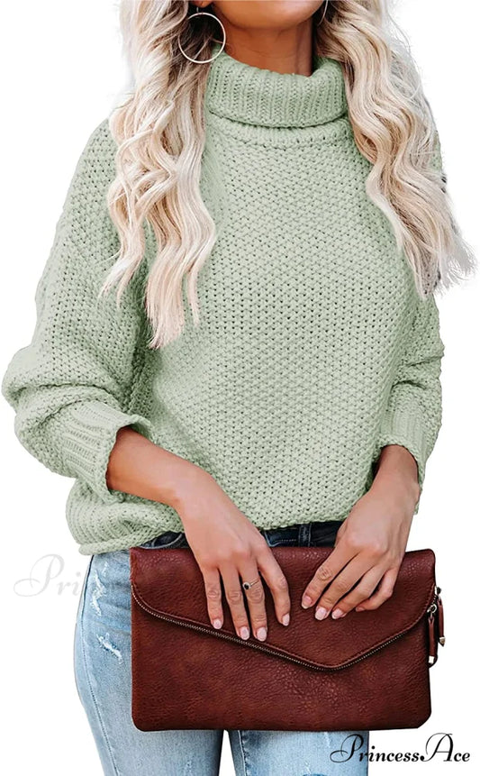 Women Turtleneck Batwing Sleeve Casual Oversized Sweater Light Green / X-Large