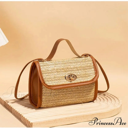 Woven Courier Straw Travel Tote Purse handbag-250126